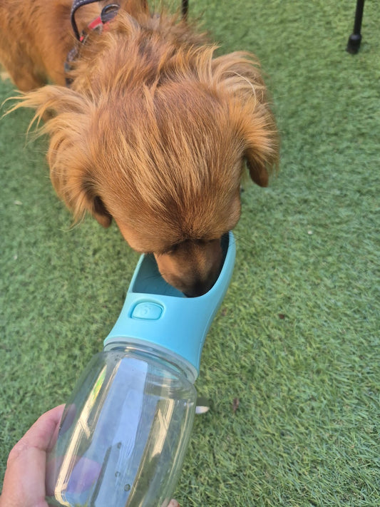 Gourde de voyage 2 en 1 – Adapté pour chien & chat
